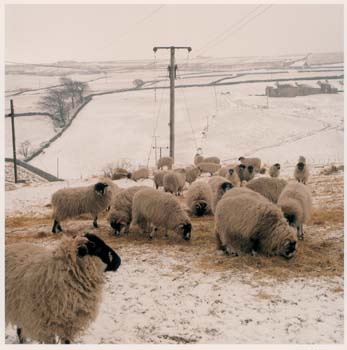 ponden-moor-1987